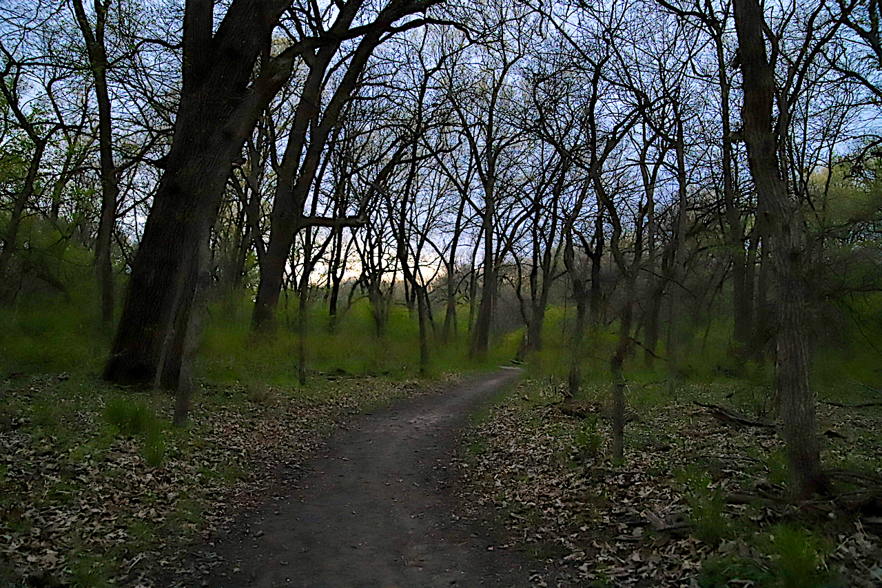 Summer Mountain Biking