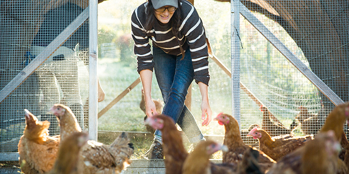 Backyard Family Farm Skills: September