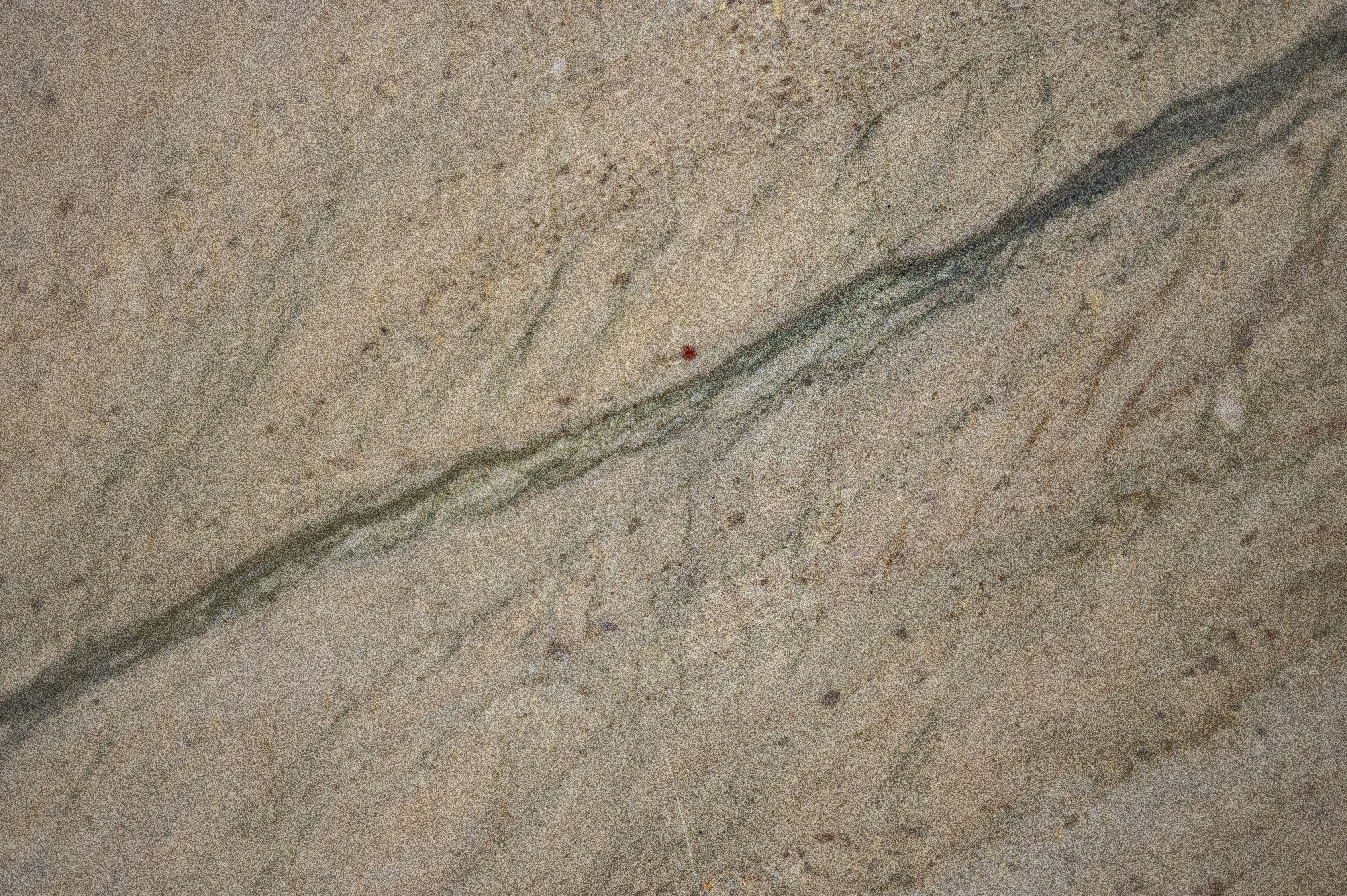 Meridian Quartzite