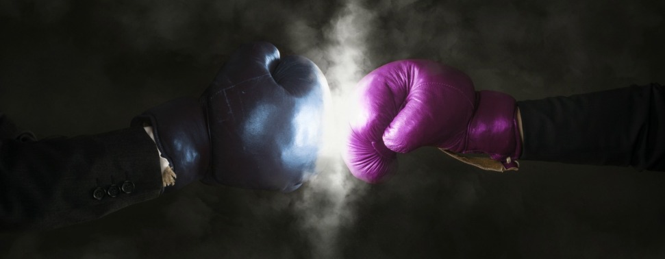 IMG: Pink and blue boxing gloves