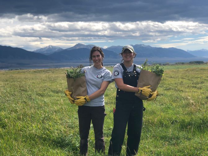[Image Description: Two BSWC members standing in a field, holding bags filled with weeds they have just picked. They are both wearing their AmeriCorps t-shirts with big smiles on their faces as the clouds roll in on the mountains behind them.]