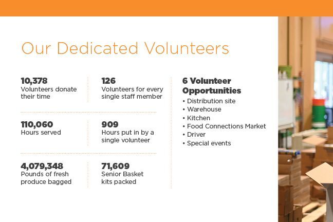 Volunteer stats