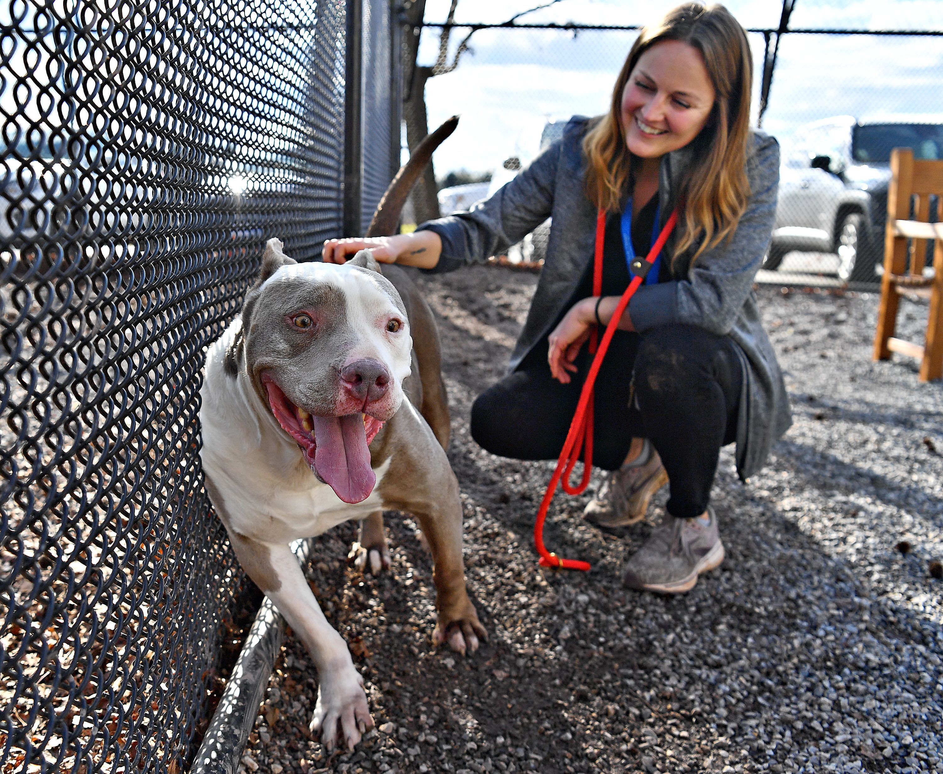 From Hippo to Hero: Moto Moto's Heartwarming Journey to his Forever Home