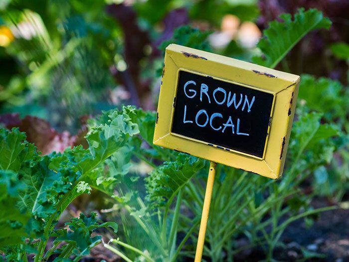 Yard & Garden Montguides