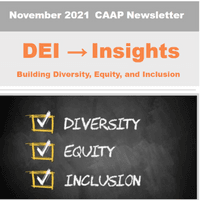 November 2021 DEI Insights