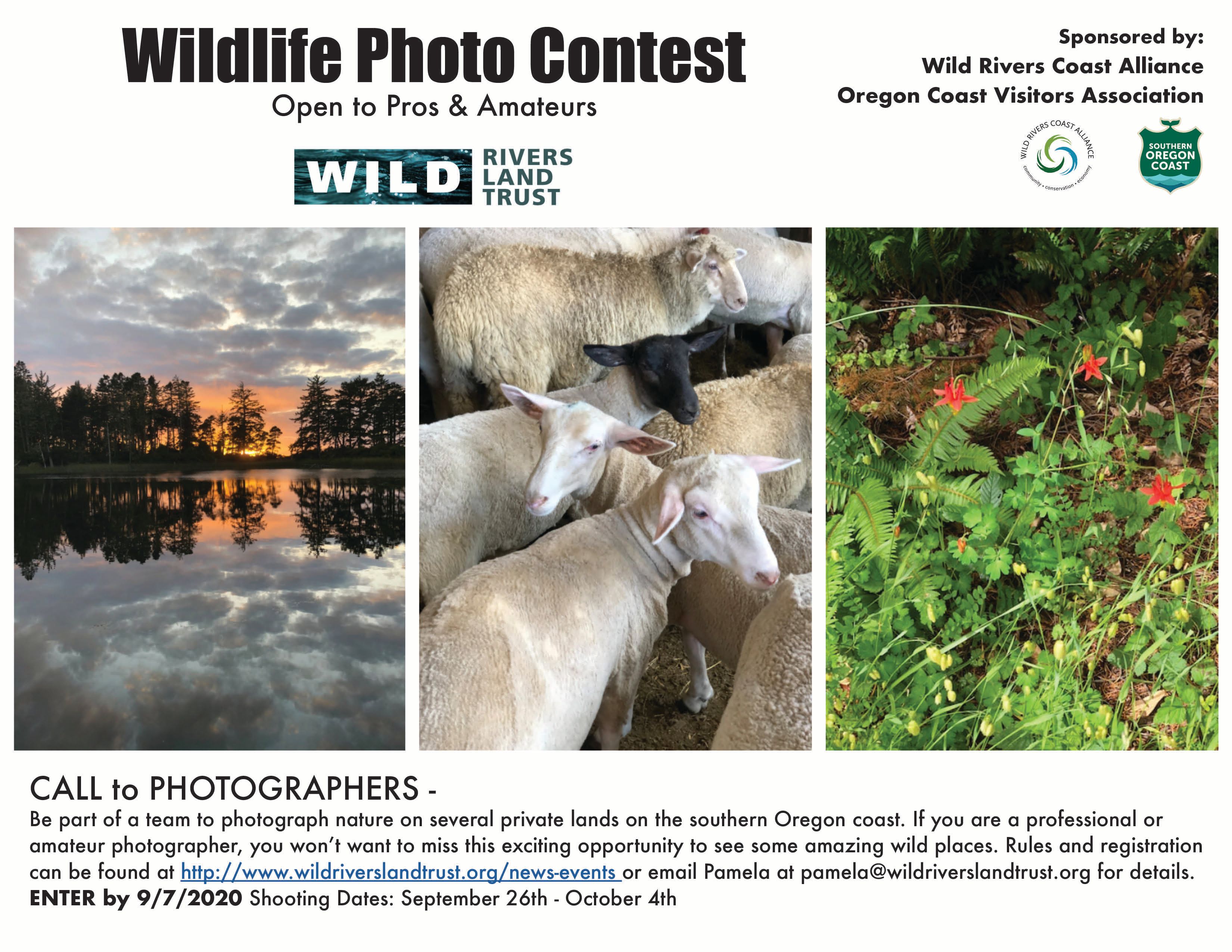 2020 Wild Rivers Land Trust Outdoor Photography Contest
