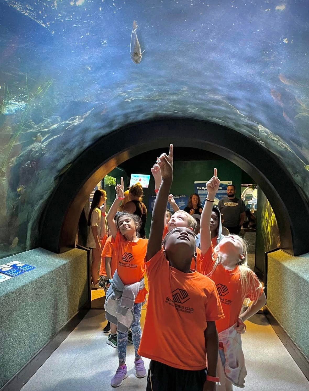 A smiling boy in a colorful shirt.