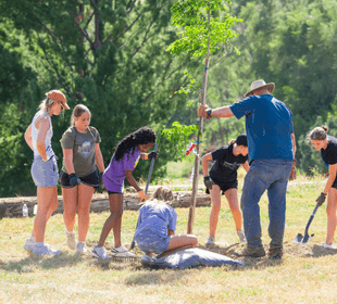 A Healthy Urban Ecosystem »