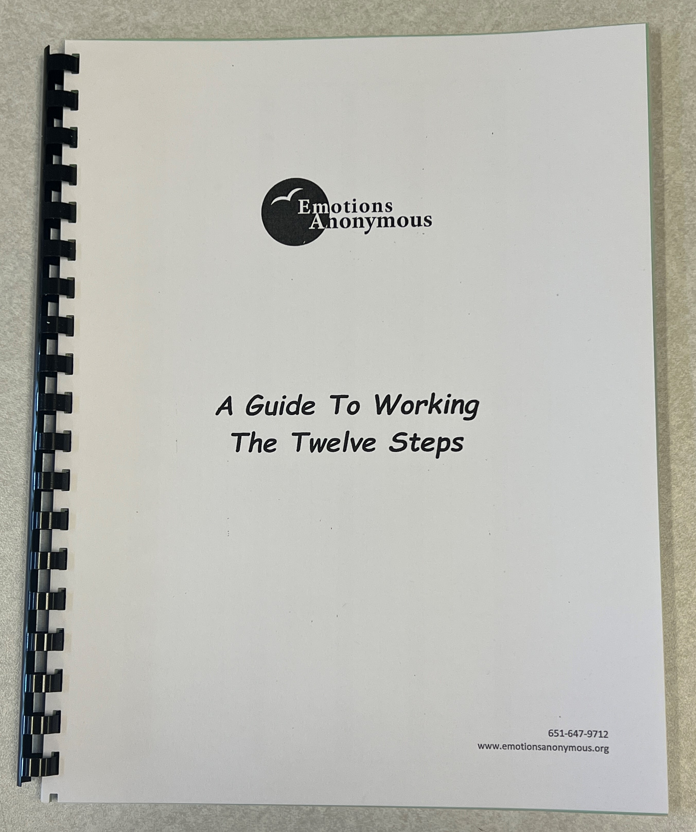 #75 — A Guide to Working the 12 Steps Workbook*