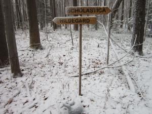 Daily Prayer January 12