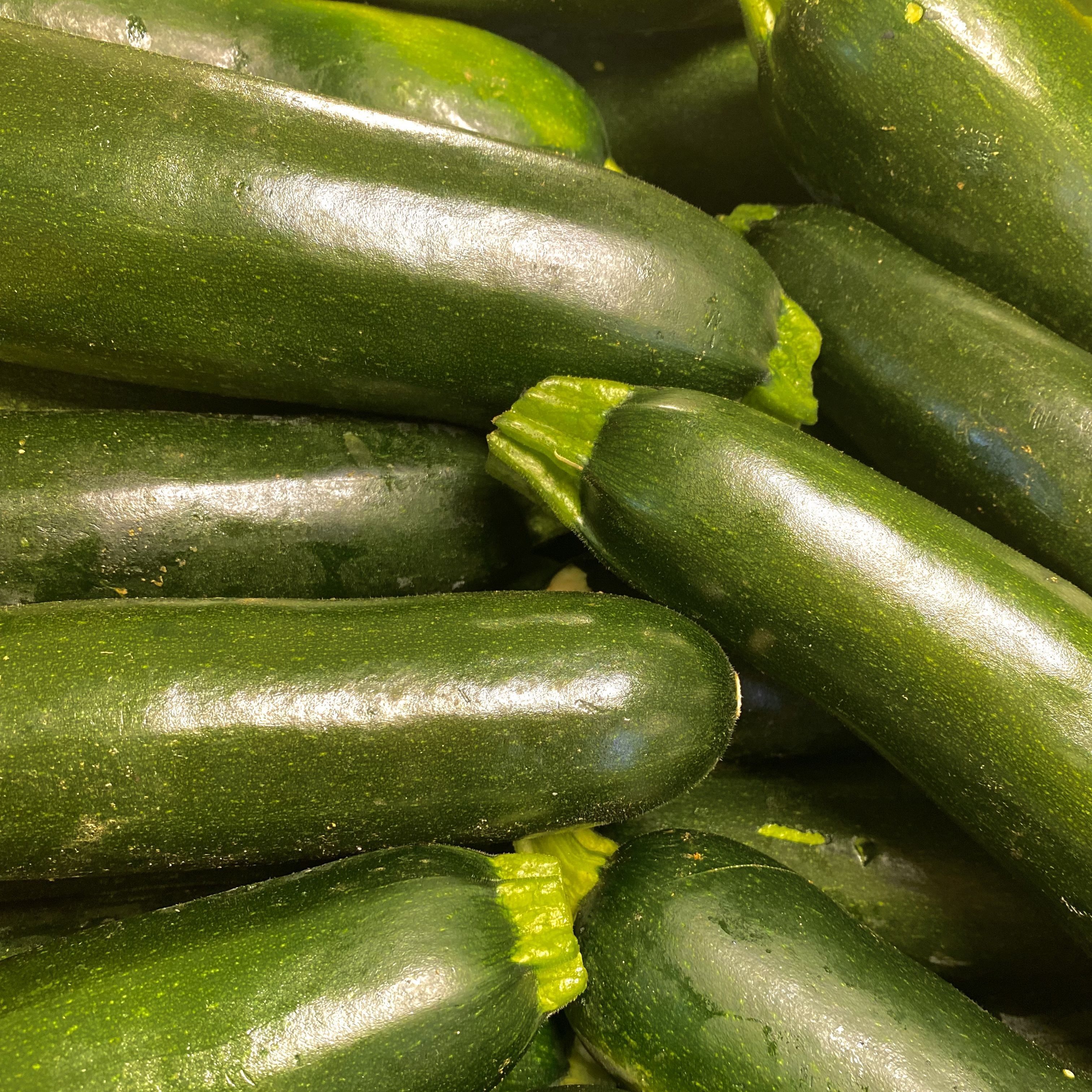Zucchini