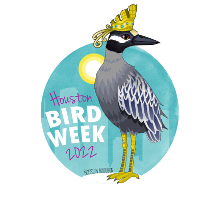 Bird Week Volunteering