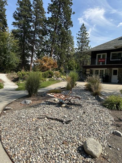 Dry Streambed Garden