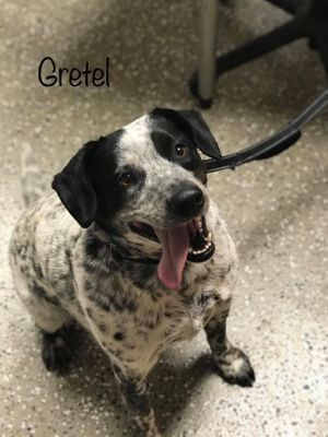 GRETEL