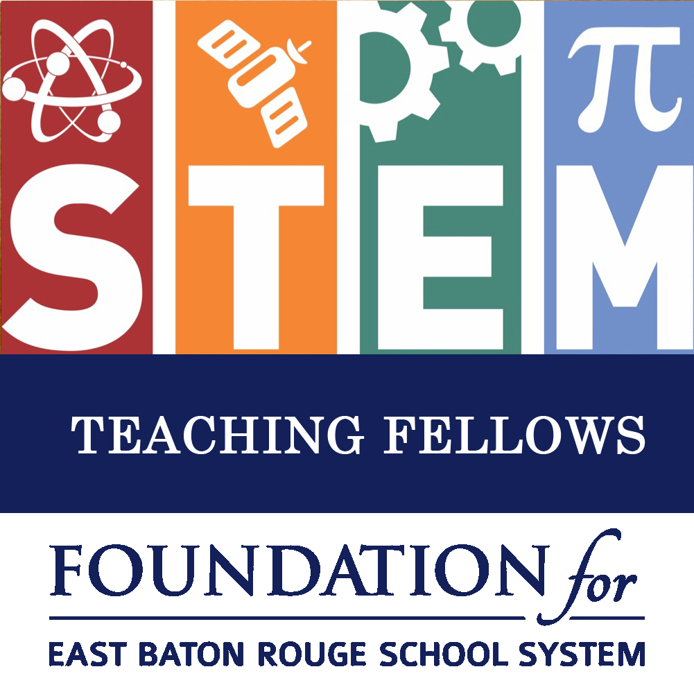 STEM Fellows Meeting