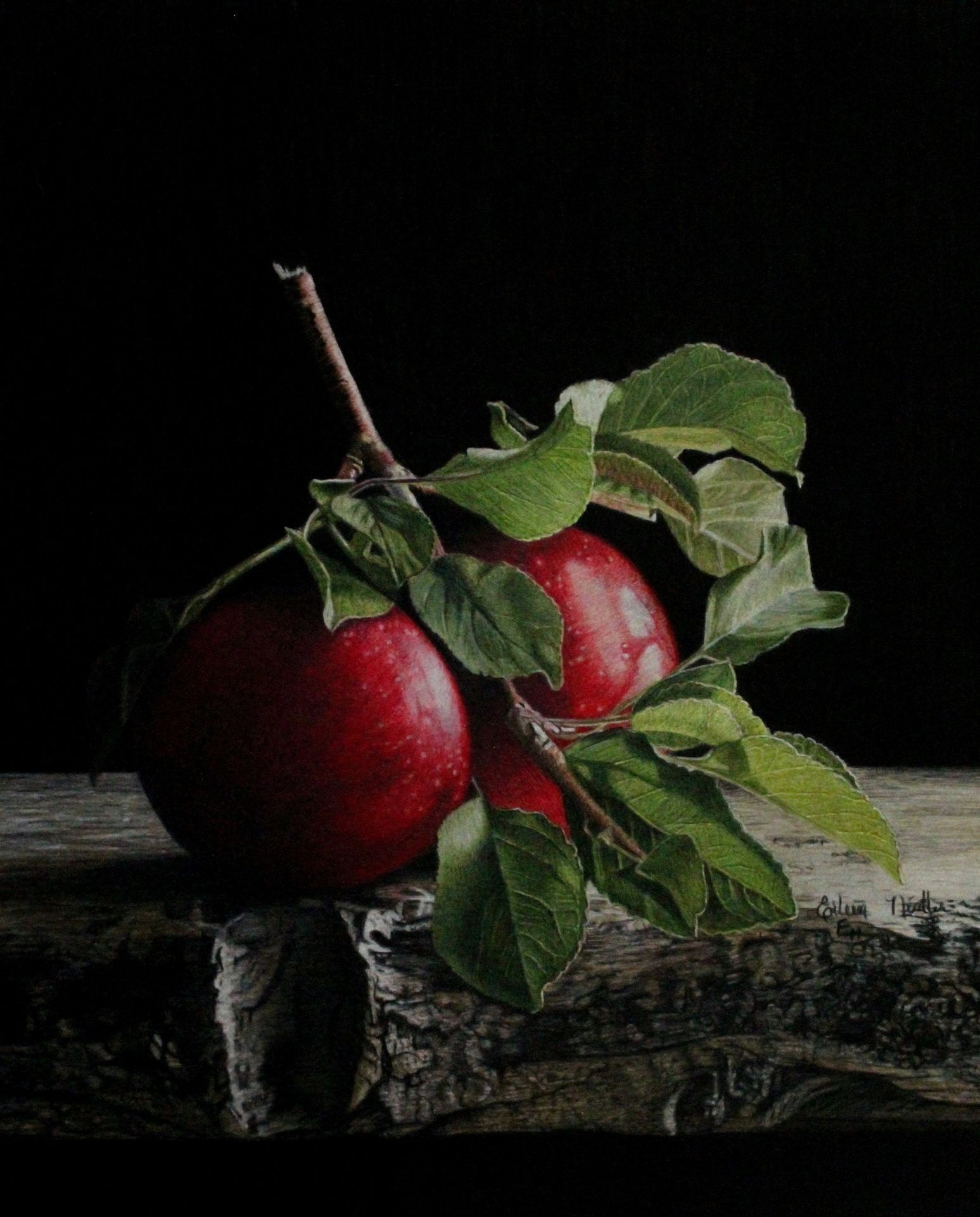 Ellen Nistler, CPSA, CPX