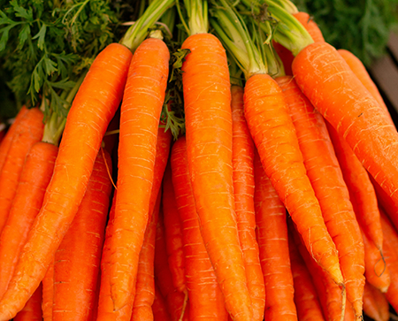 Locally Sourced, Farm Fresh Carrots, 50 lb box