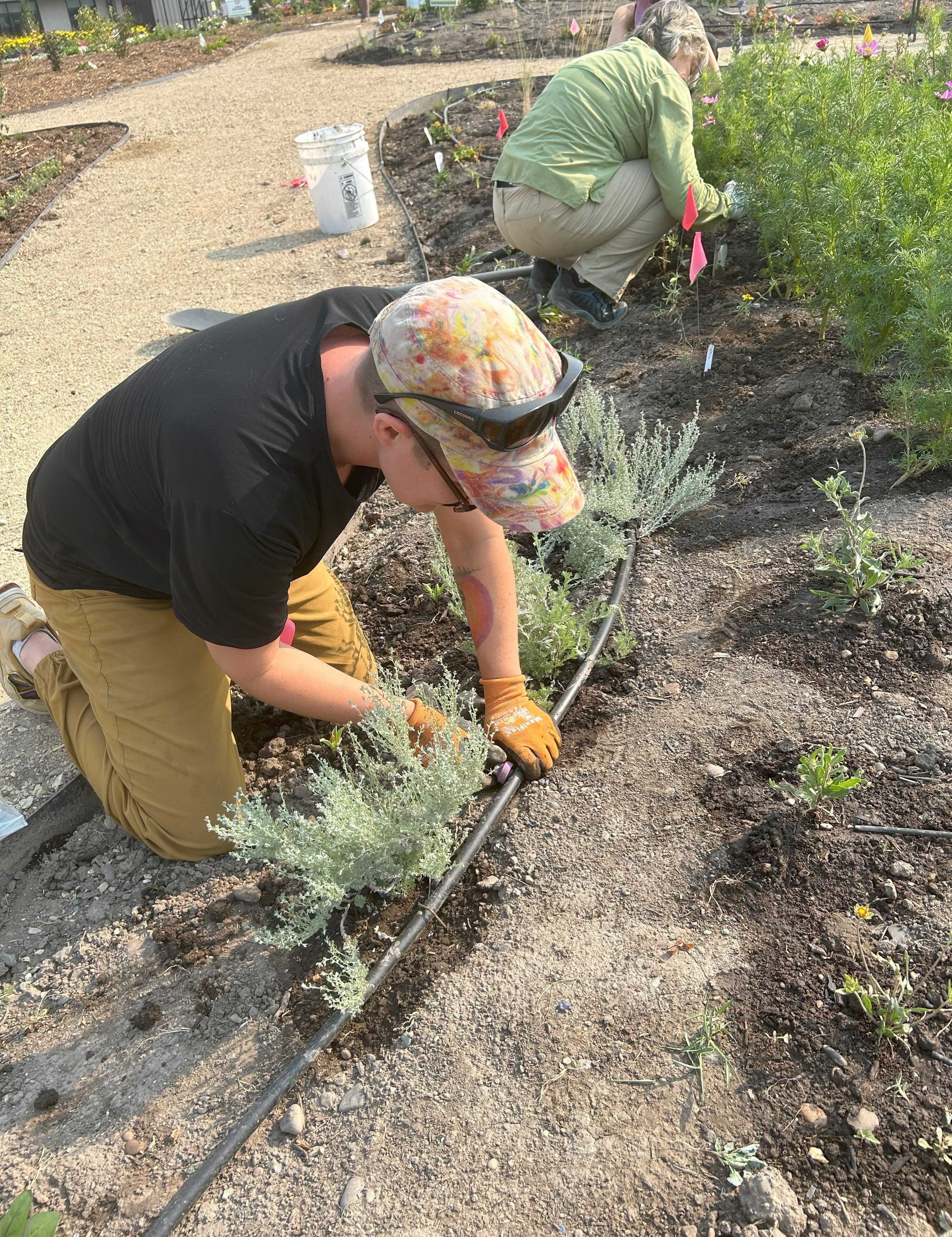 Irrigation Basics