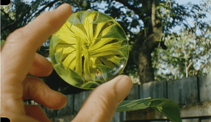 Montana Western Fine Arts Gallery Presents “Forget Me Not”