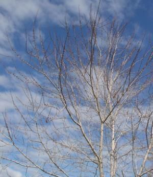 Daily Prayer April 21