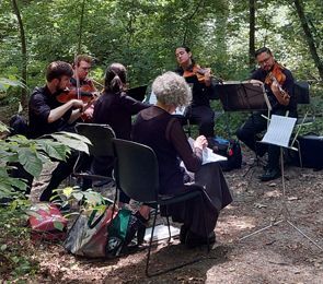 Forest Music