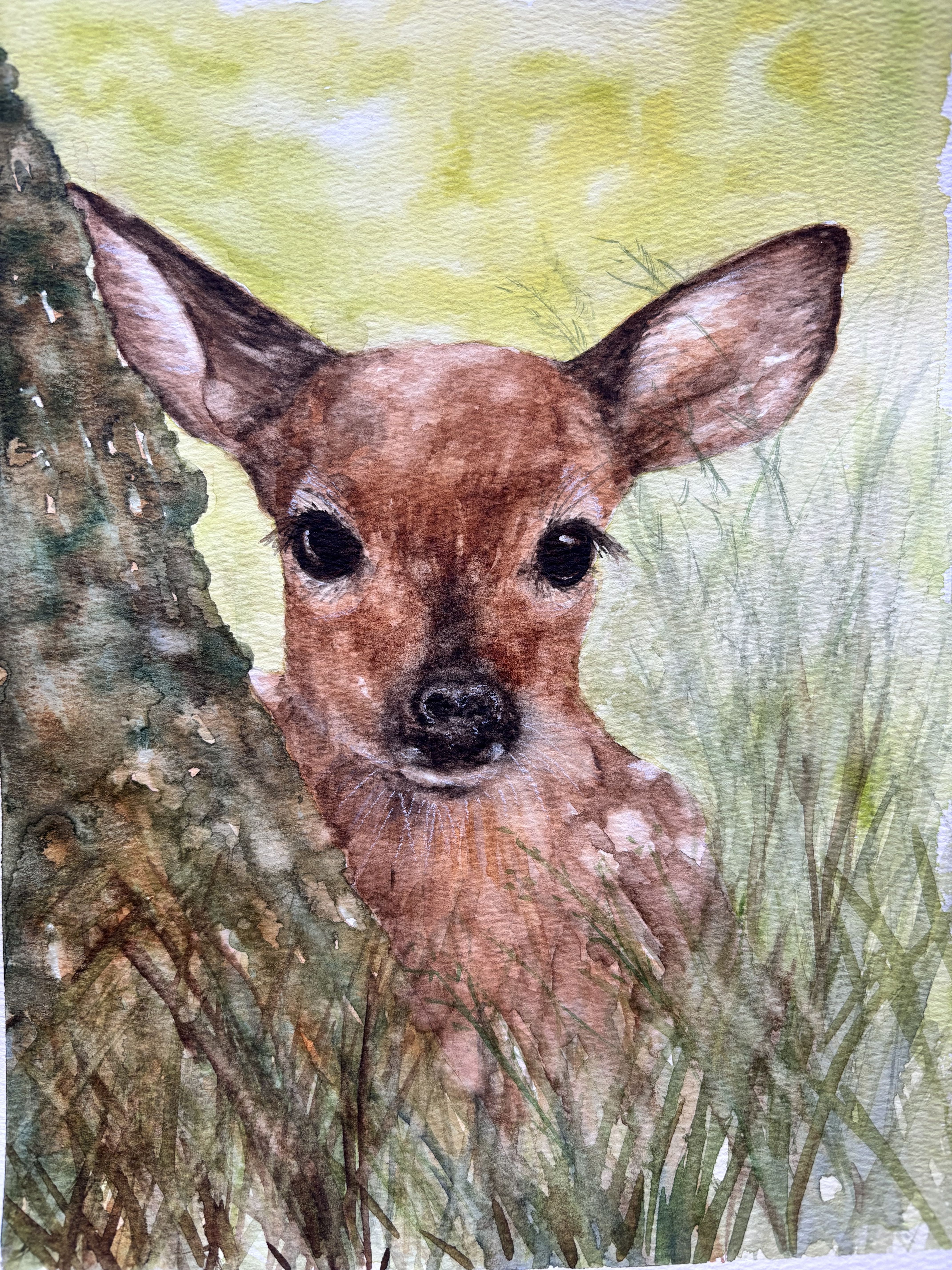 March 18, Spotted Fawn