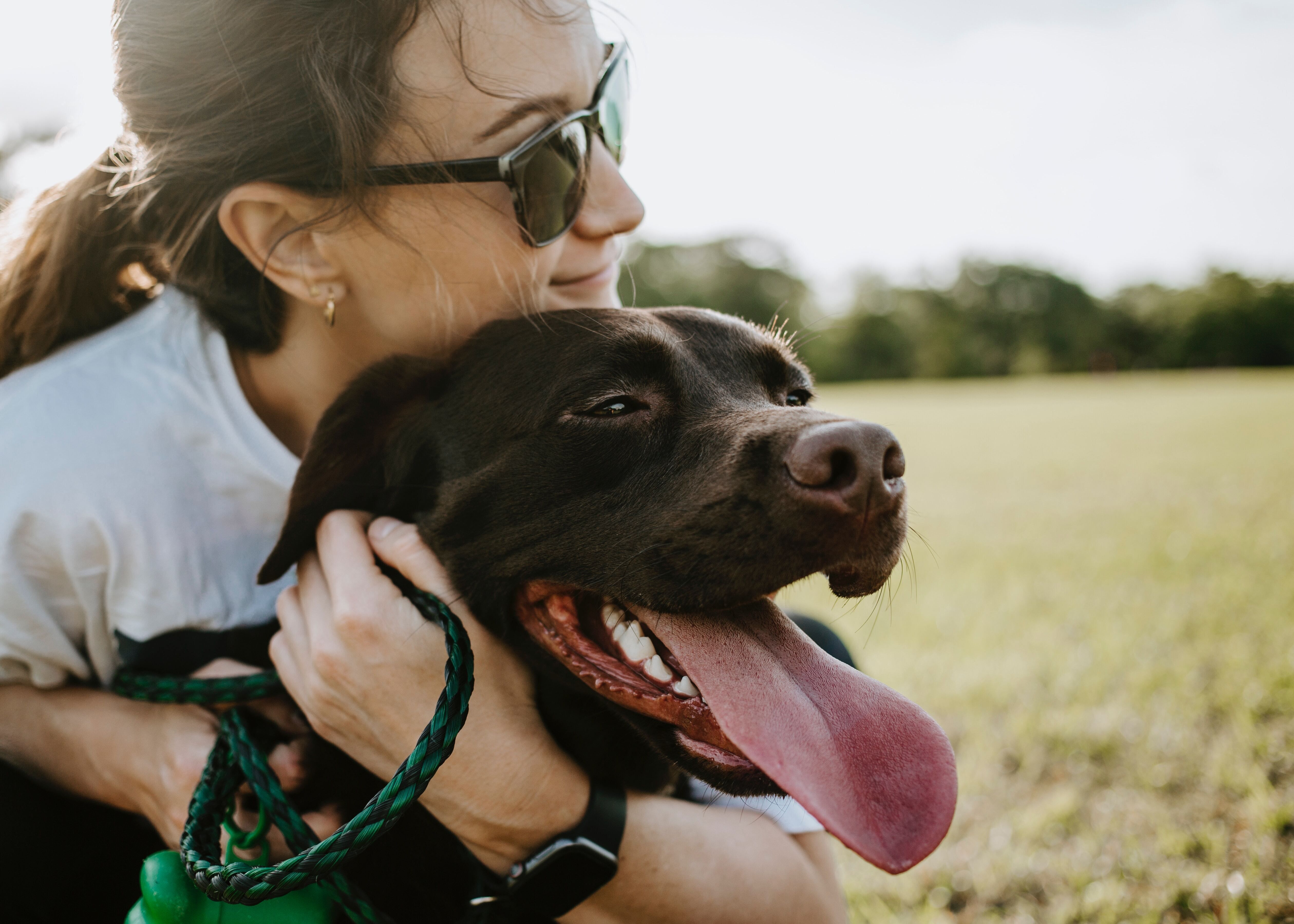 Maximizing the Bond Between You and Your Dog: 5 Tips for Building Trust and Loyalty