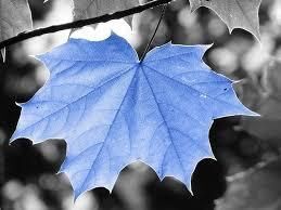 2026 Outstanding Alumni & Teachers/Mentors