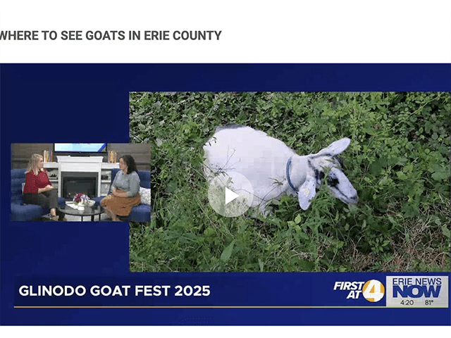 Goat Fest THIS SATURDAY!