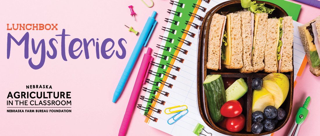 Lunchbox Mysteries