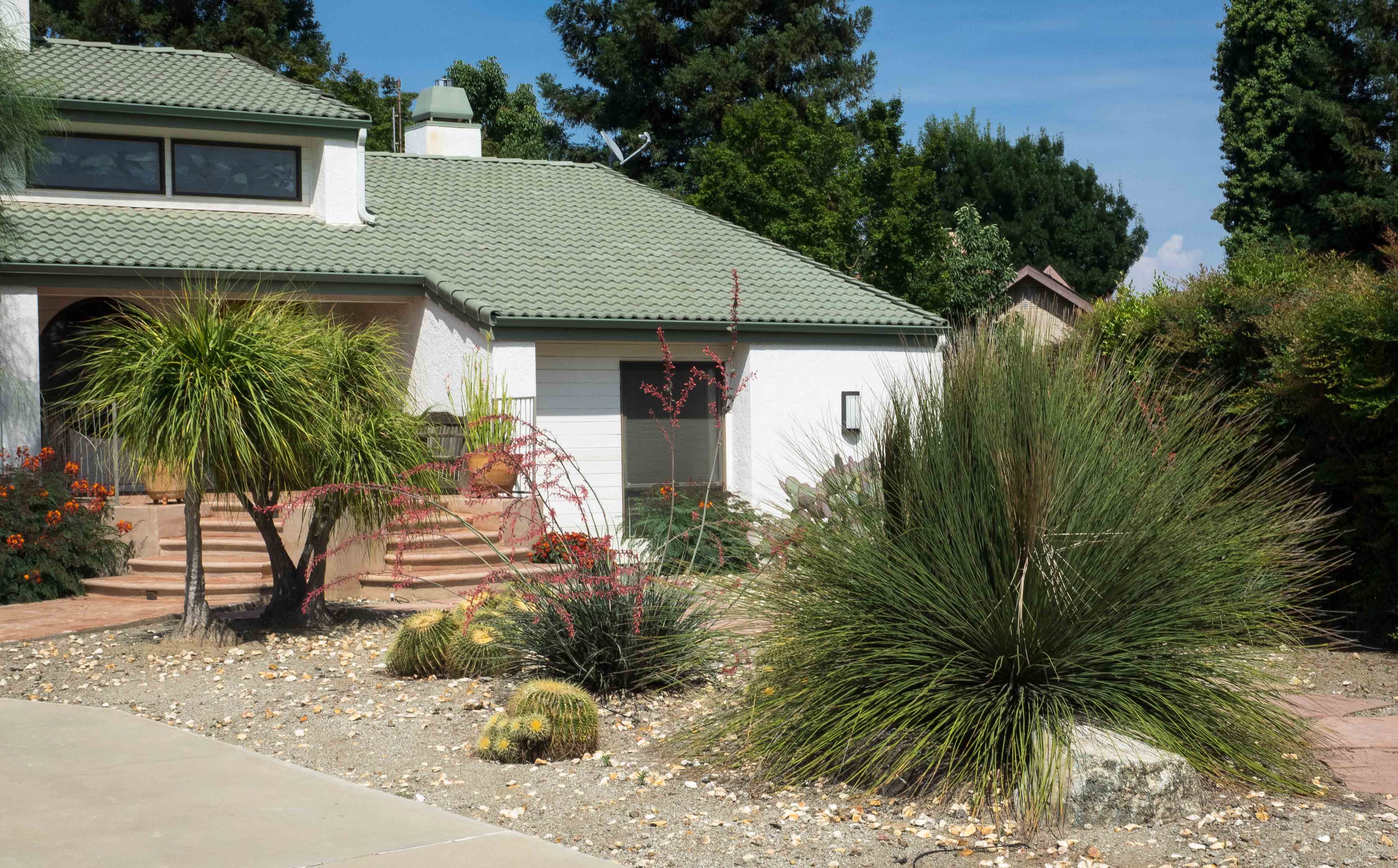 How to remove your lawn, Part 2
