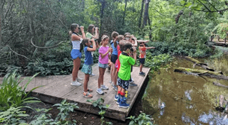 Young Birders Club