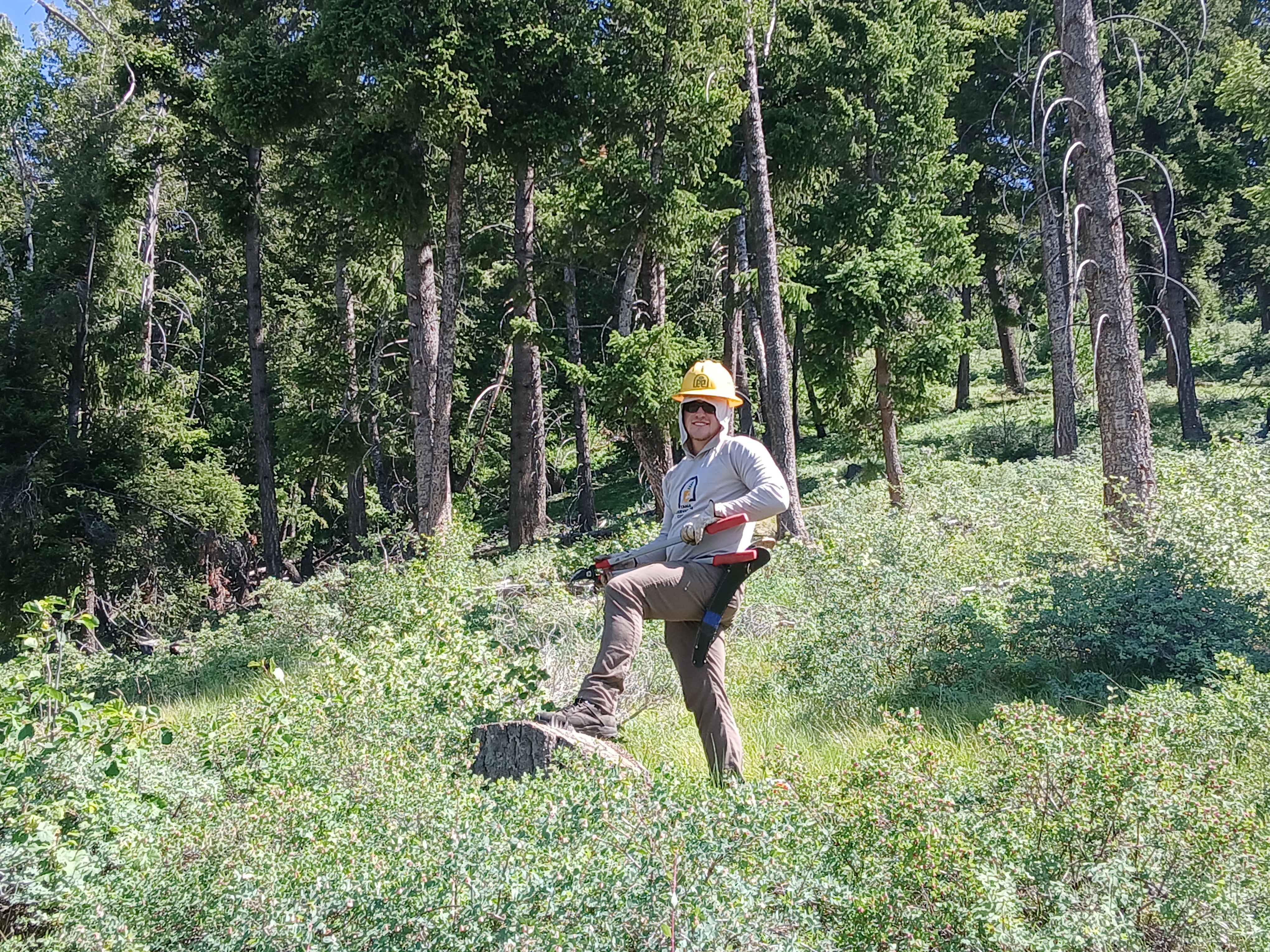 A crew member stands with their leg posed on a tree stump. They are holding a tool.