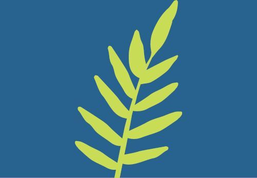 OBBBA Philanthropic Insights