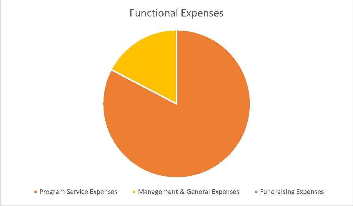 FUNCTIONAL EXPENSES