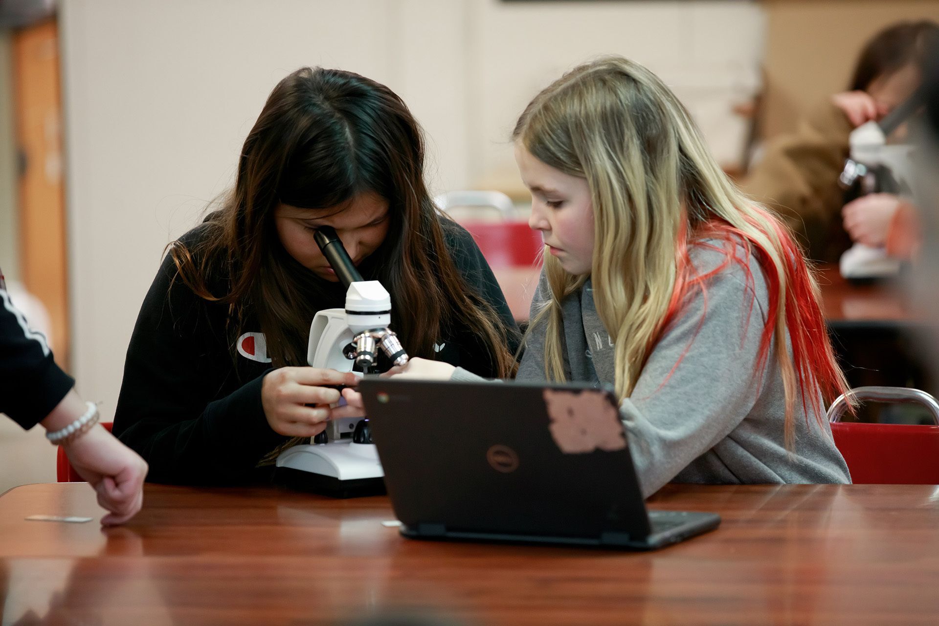 Students using a microscope to learn more about cells.