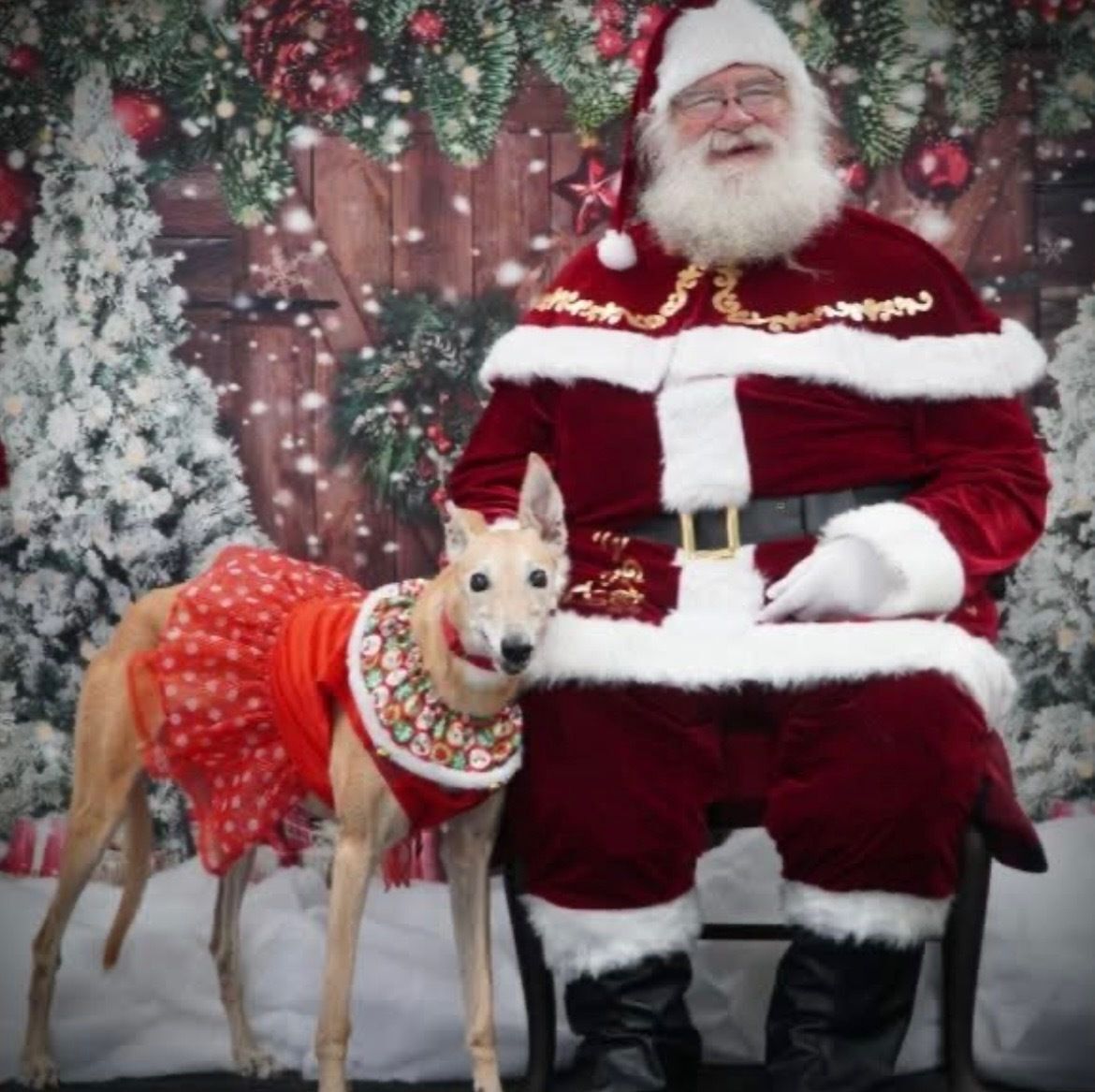 Photos with Santa
