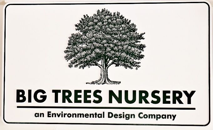 SC38420 - Carved and Sandblasted HDU Entrance Sign for "Big Trees Nursery"