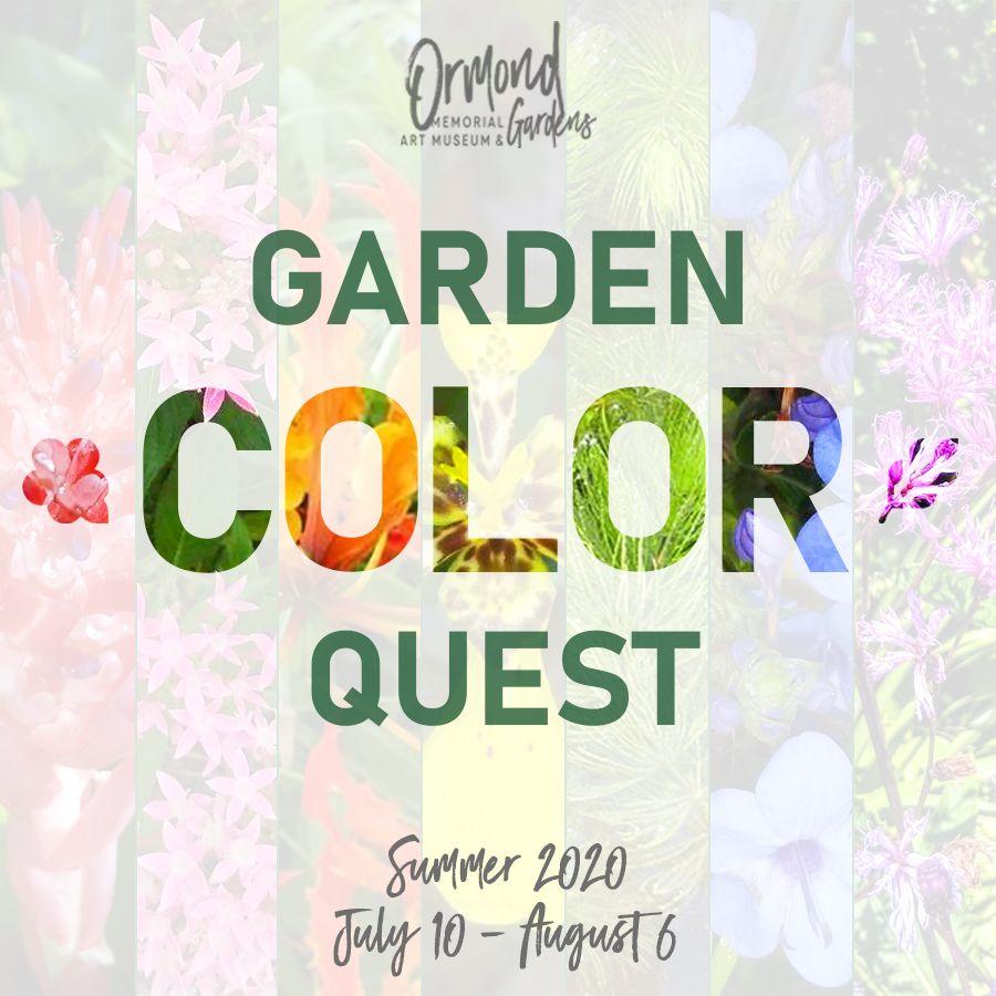 Garden Color Quest