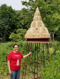 Birds, Bird Feeding, Bird Watching, Family, What to do, Bristol, Rhode Island,