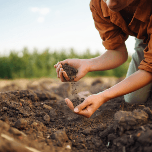 Faith & Agriculture Webinar: Measuring Carbon Intensity to Promote Healthy Soils
