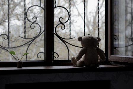 Trauma Statistics_Teddy Bear Looking Out Window