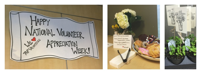 {VOLUNTEER}