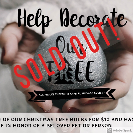 Help Decorate Our Tree