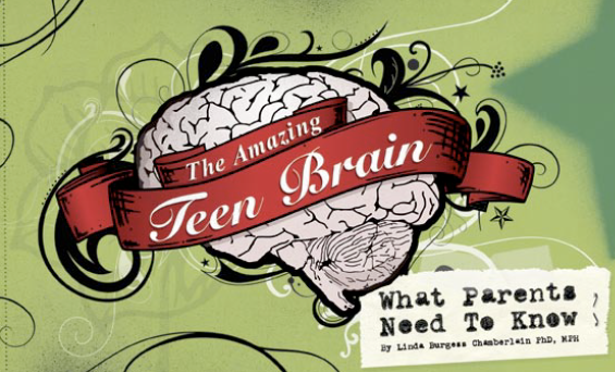 The Amazing Teen Brain: What Parents Need to Know