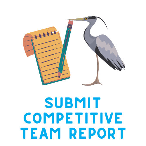 Submit Team report
