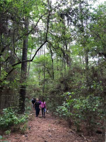 Winters Bayou Grant Award