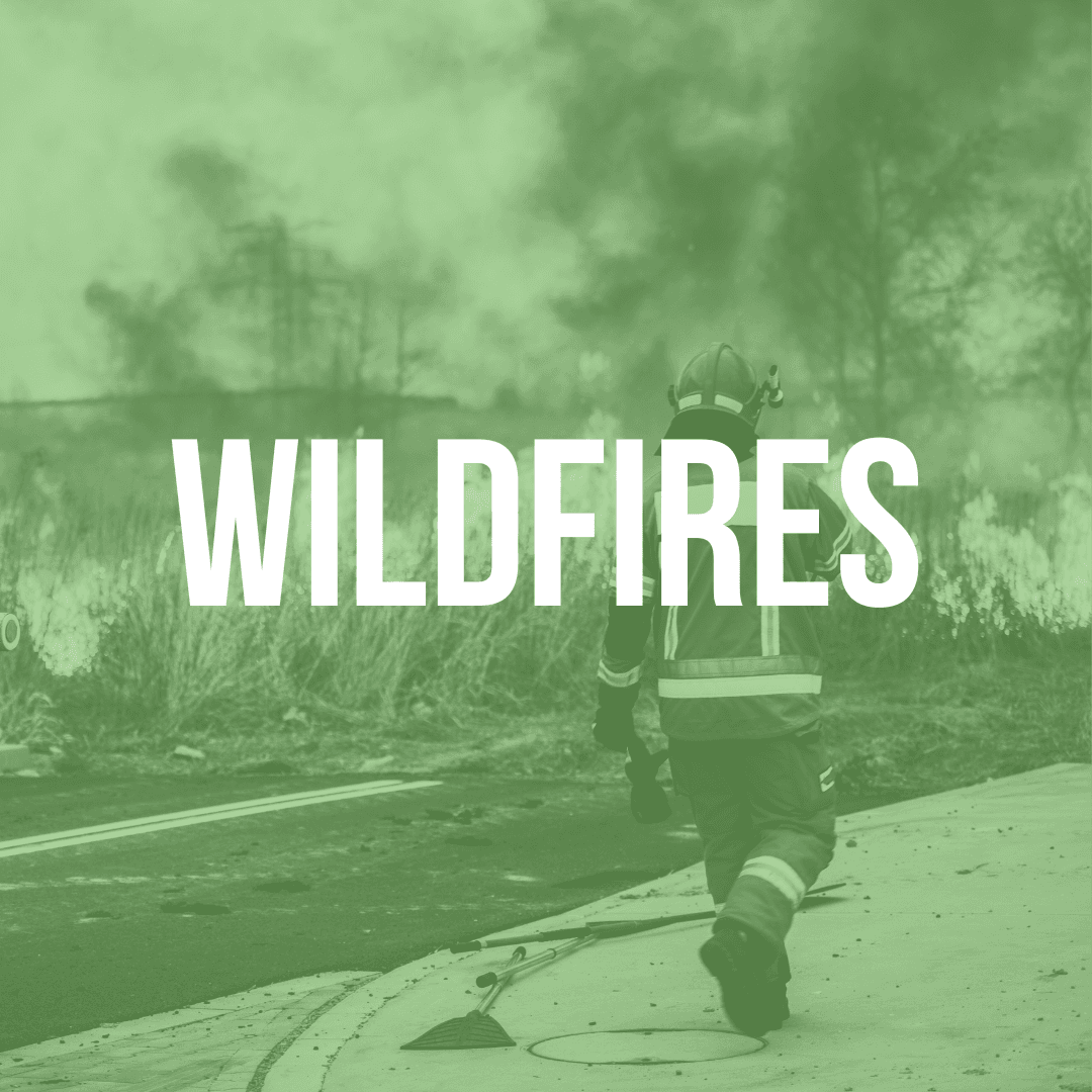 Wildfires