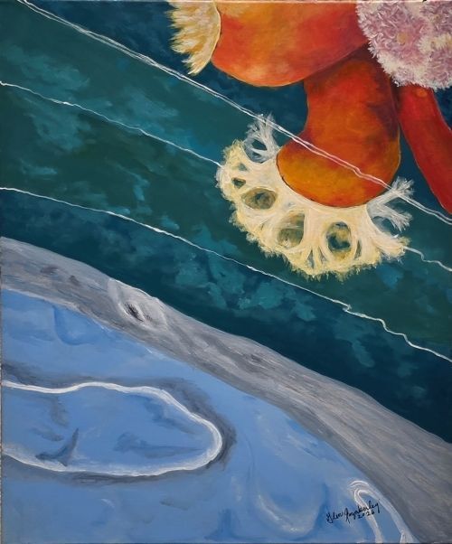 See Sea Anemone - Glen Fazakerley 