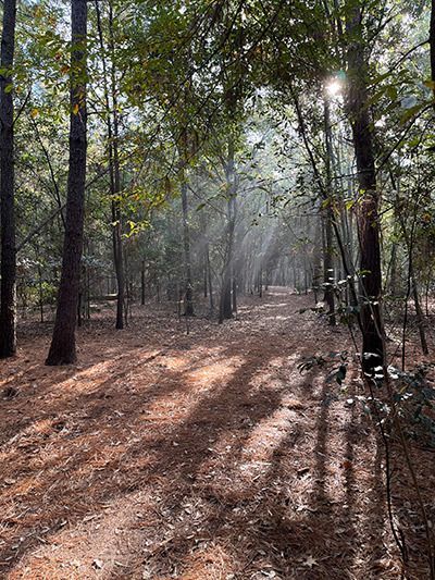 Lorraine Cherry Nature Preserve